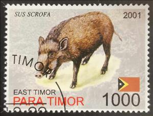 Stamp, Sus Scrofa, East Timor,  , Animals (Fauna), Pigs
