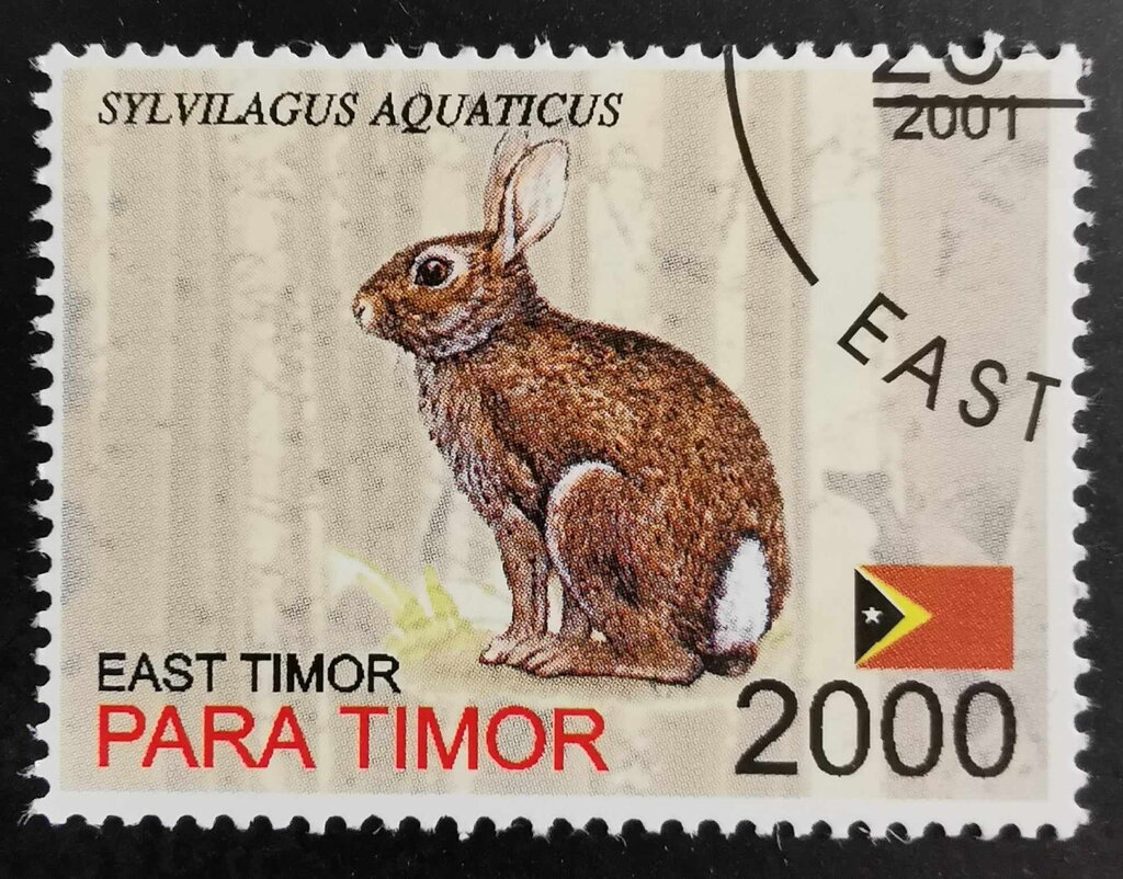 Sylvilagus Aquaticus
