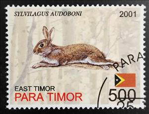Stamp, Sylvilagus Audoboni, East Timor,  , Animals (Fauna), Rabbits