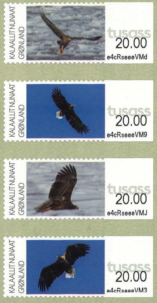 Eagle