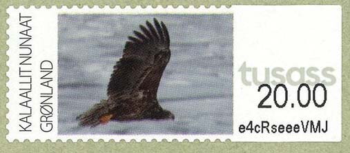 Eagle