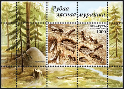 Souvenir sheet Ants