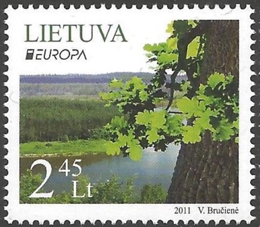 Europa-2011. Forest.