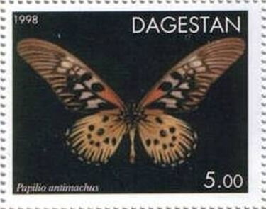 African Giant Swallowtail (Papilio antimachus)