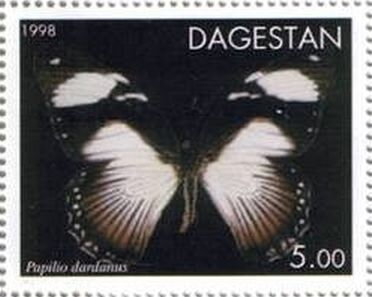 African Swallowtail (Papilio dardanus)