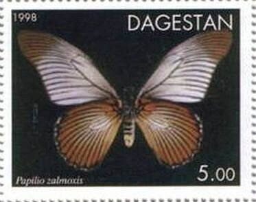 Giant blue Swallowtail (Papilio zalmoxis)
