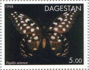 Mini Sheet, Madagascar Giant Swallowtail (Papilio antenor), Russia, Dagestan,  , Animals (Fauna), Butterflies and Moths, Insects