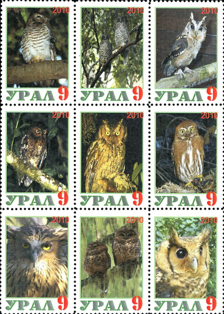 Owls