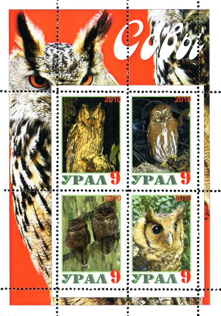 Owls