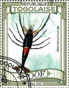 Stamp, Various Crabs, Togo,  , Crabs, Sea Life