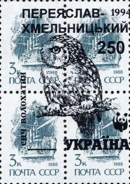 Owls