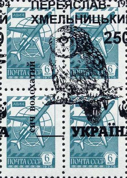 Owls