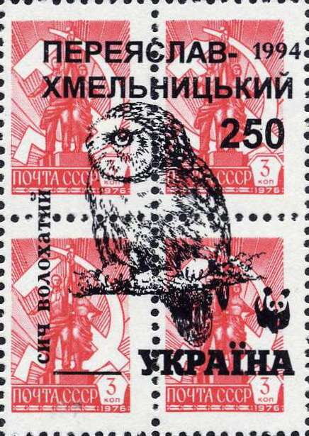 Owls