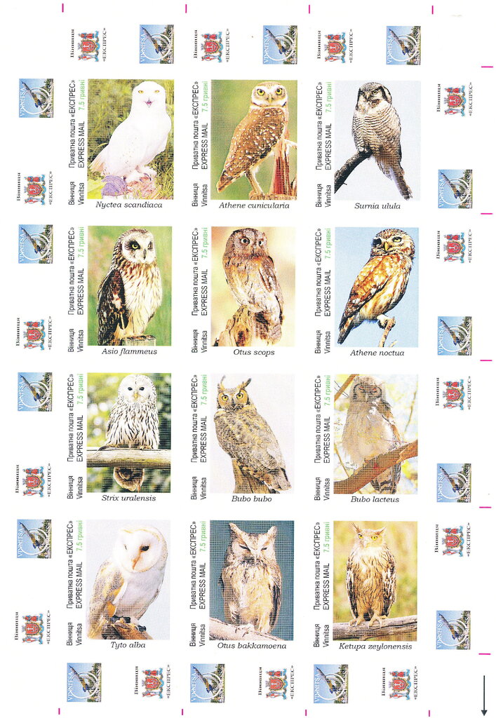 Owls