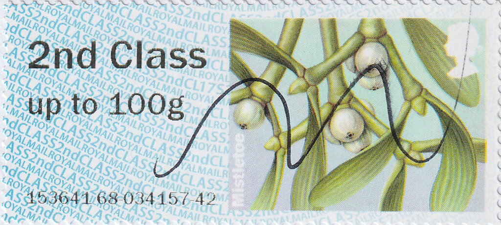 Mistletoe (Viscum album)