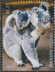 Koalas