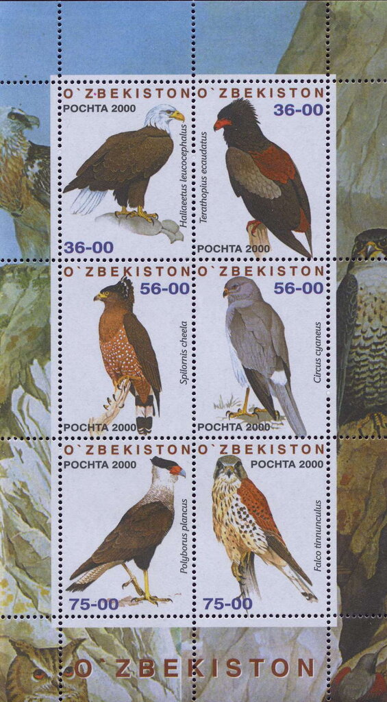 Birds