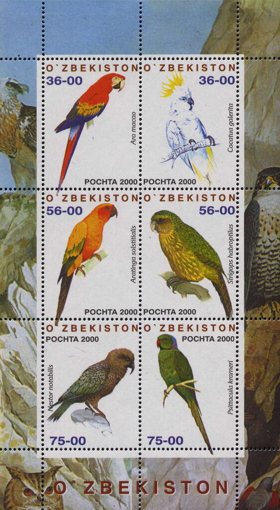 Birds