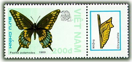 Stamp with Attached Label, Palamedes Swallowtail (Papilio palamedes), Vietnam,  , Animals (Fauna), Butterflies and Moths, Insects, Philatelic Exhibitions