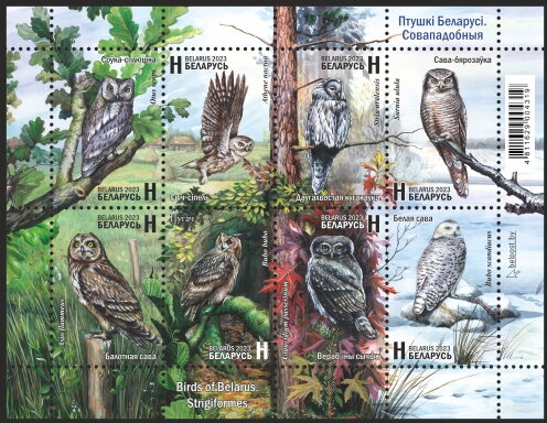 Birds of Belarus. Strigiformes