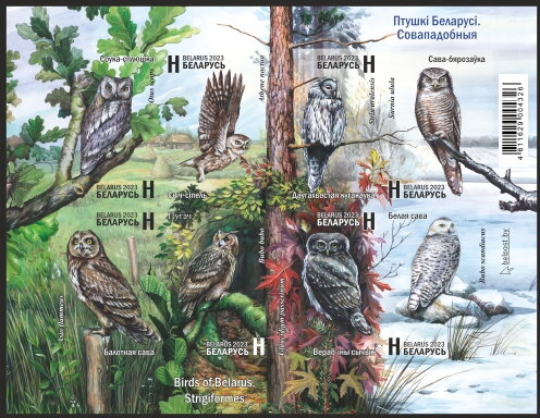 Birds of Belarus. Strigiformes
