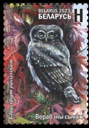 Eurasian Pygmy Owl
