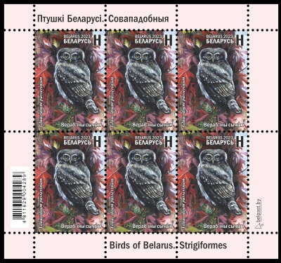 Eurasian Pygmy Owl