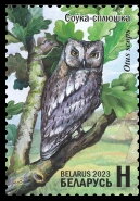 Eurasian Scops Owl
