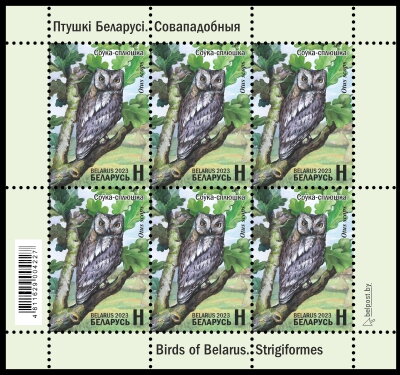 Eurasian Scops Owl
