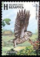 Little Owl