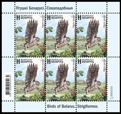 Little Owl