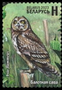 Short-eared Owl