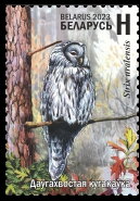 Ural Owl