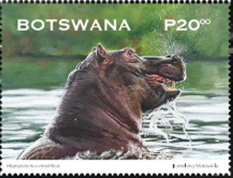 Hippopotamus (Hippopotamus amphibius)