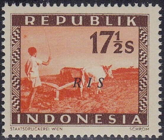 Plowing with buffalos