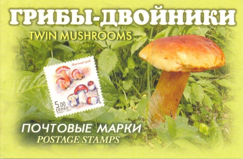 Edible & Poisonous Fungi