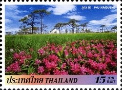 Phu Kradueng