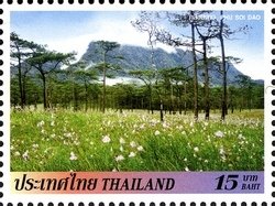Phu Soi Dao