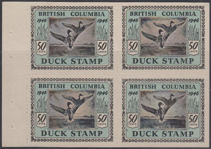 Ducks taking off