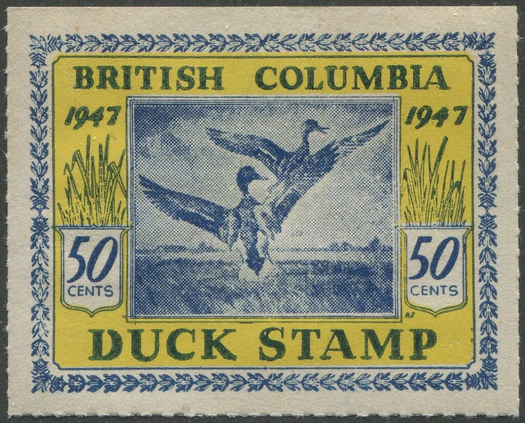 Ducks taking off