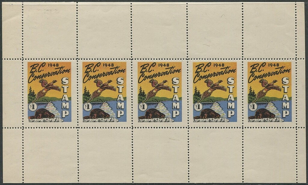 Pheasant and beaver