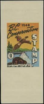 Pheasant and beaver