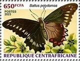 Battus polydamas