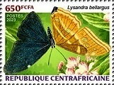 Lysandra bellargus