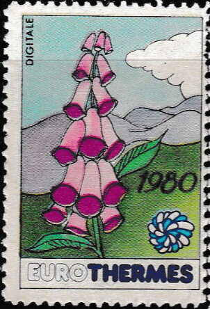 Digitale, Foxglove