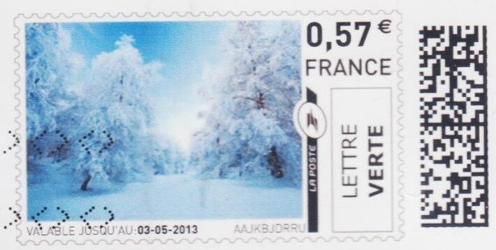 Snow covered Trees