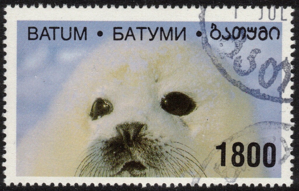 Seal