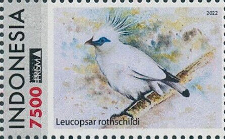 Bali myna (Leucopsar rothschildi)
