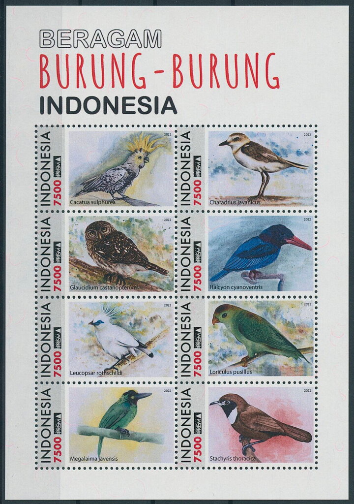 Birds