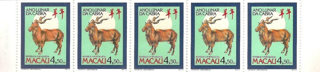 Lunar Year